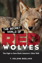 Cover of 'The Secret World of Red Wolves' by T. DeLene Beeland 