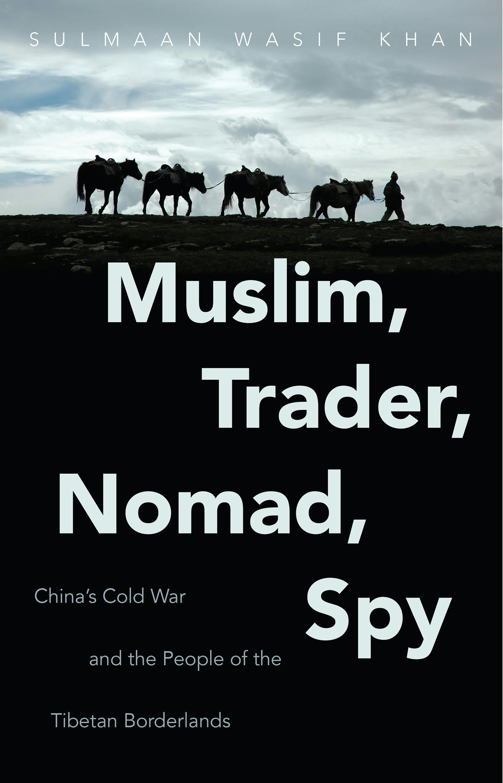 Mao&#39;s China and the Cold War (The New Cold War History) Chen， Jian; Jian， Chen The Great Transformation: China's Road from Revolution to