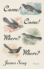 Cover of 'Come! Come! Where? Where?' by James Seay 