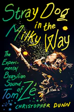 Cover of 'Stray Dog in the Milky Way' by Christopher Dunn 