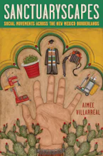 Cover of 'Sanctuaryscapes' by Aimee Villarreal 