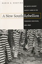 Cover of 'A New South Rebellion' by Karin A. Shapiro 