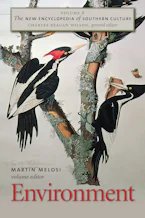Cover of 'The New Encyclopedia of Southern Culture' by Martin V. Melosi 