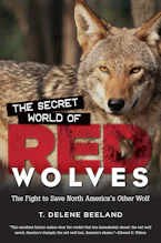 Cover of 'The Secret World of Red Wolves' by T. DeLene Beeland 